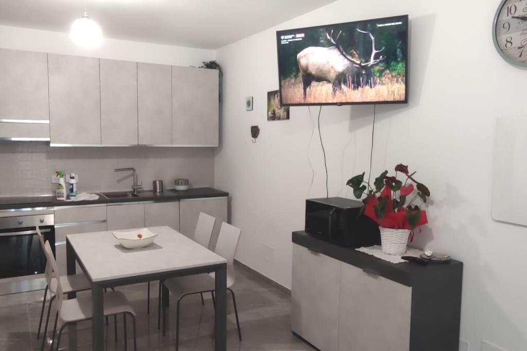 Bruno'S House Daire Pescara Dış mekan fotoğraf